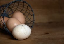 eggs in a basket to represent not diversifying your portfolio