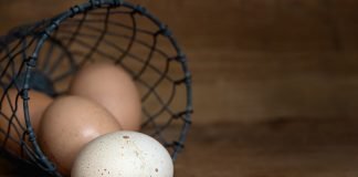 eggs in a basket to represent not diversifying your portfolio
